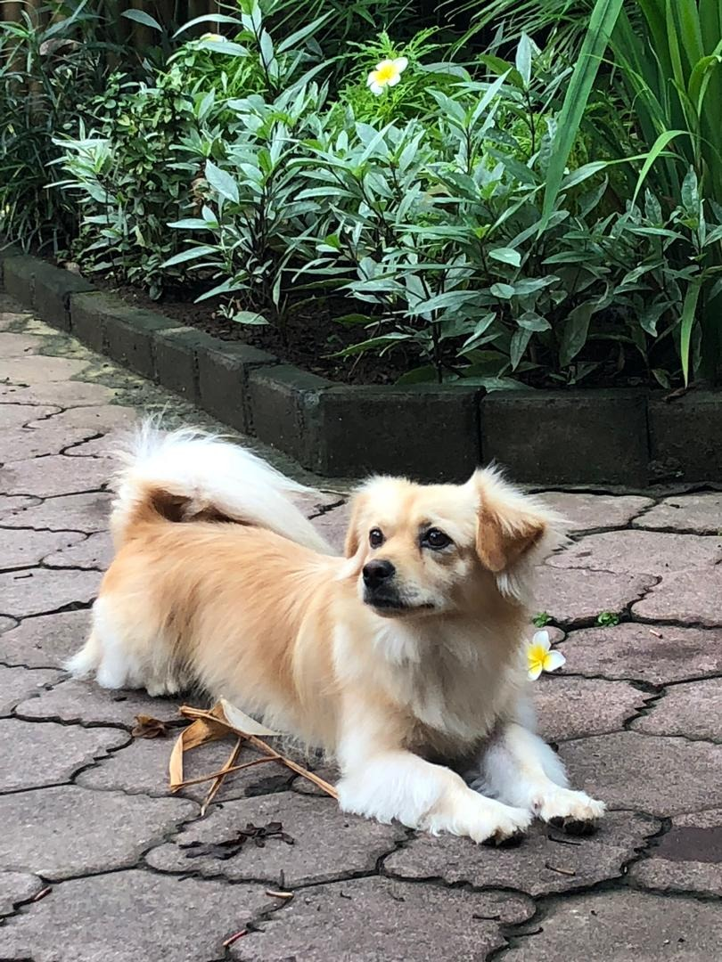 Machine generated alternative text:
e_ *.fr/i.. 